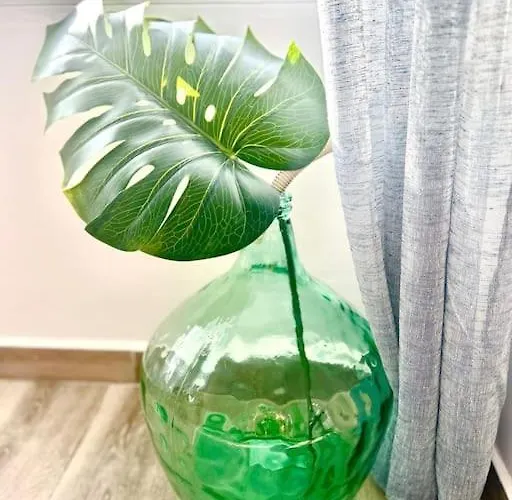 Palm Breeze 아파트 토레몰리노스